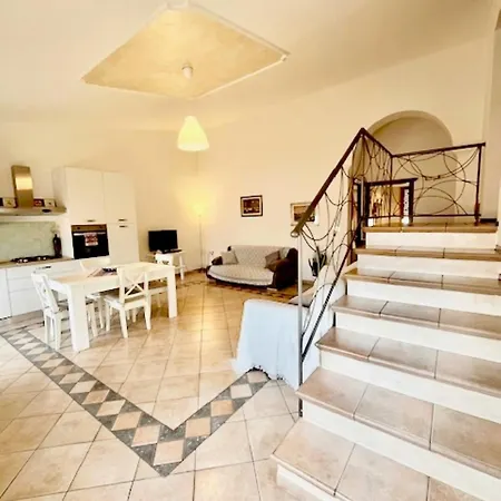Sanseveria Apartment