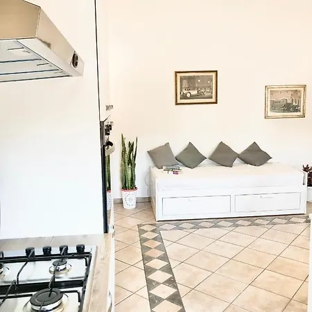 Sanseveria Tortolì