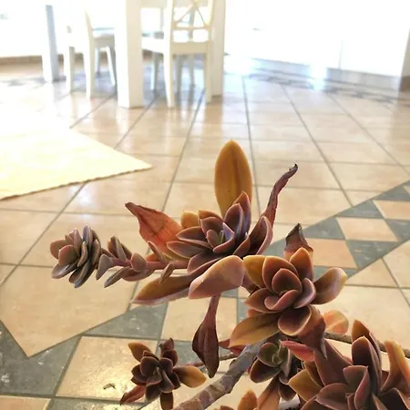 Apartmán Sanseveria Tortolì