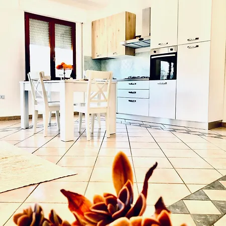 Apartmán Sanseveria *