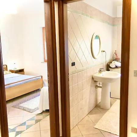 Sanseveria * Tortolì