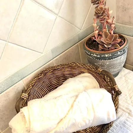Sanseveria Apartment
